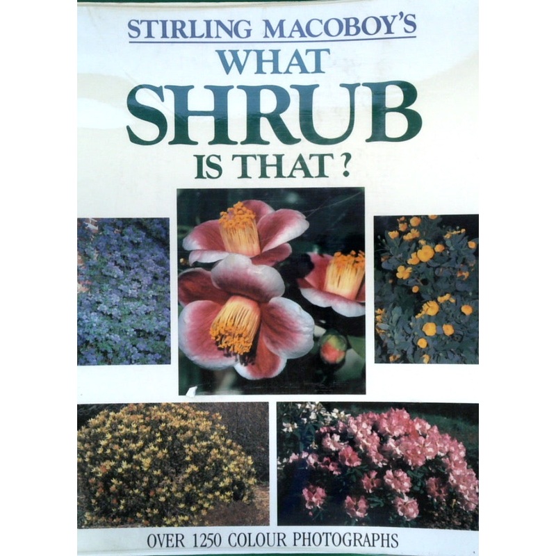 What Shrub Is That?