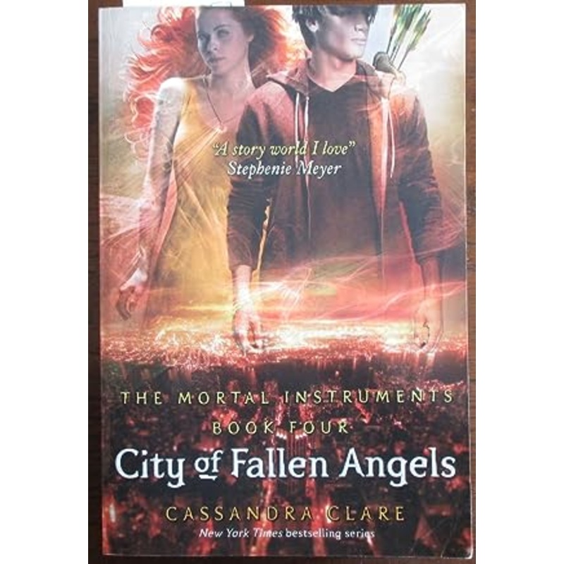 Mortal Instruments Bk 4: City Of Fallen