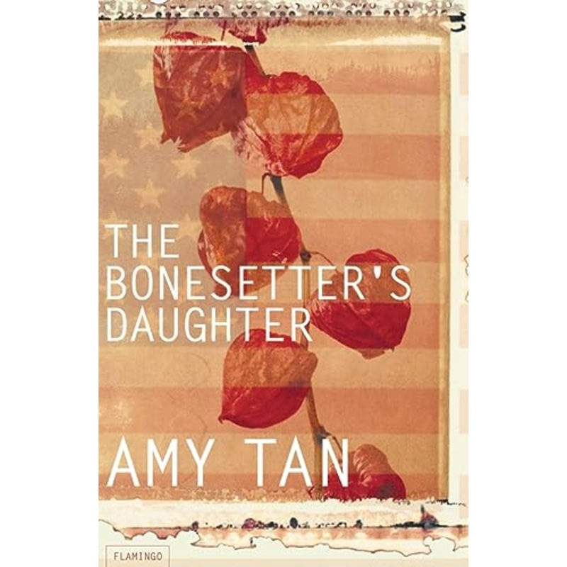 The Bonesetter's Daughter