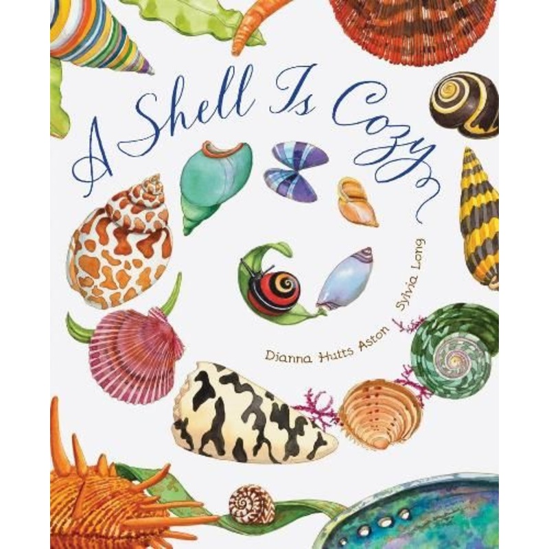 A Shell Is Cozy