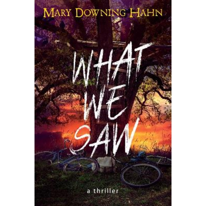 What We Saw: A Thriller