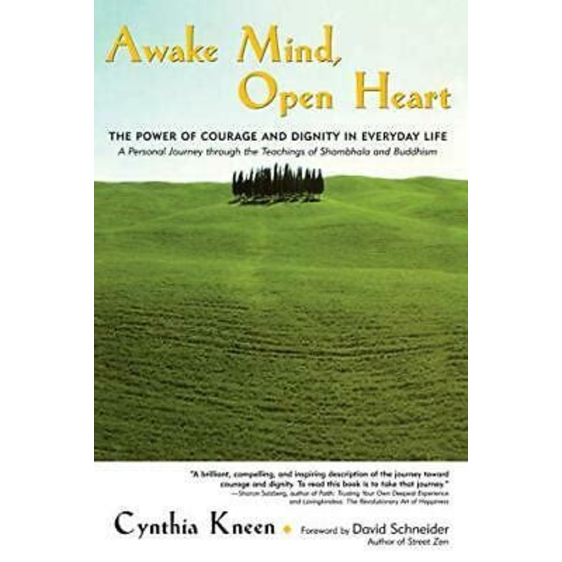 Awake Mind, Open Heart, The Power of Courage and Dignity in Everyday Life