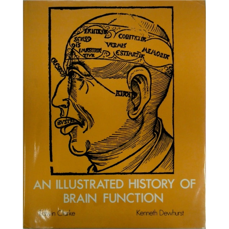 An Illustrated History of Brain Function