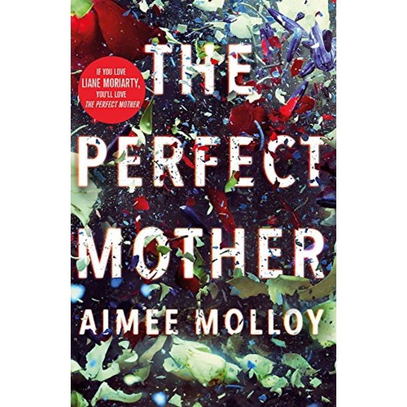 The Perfect Mother: A gripping thriller with a nail-biting twist