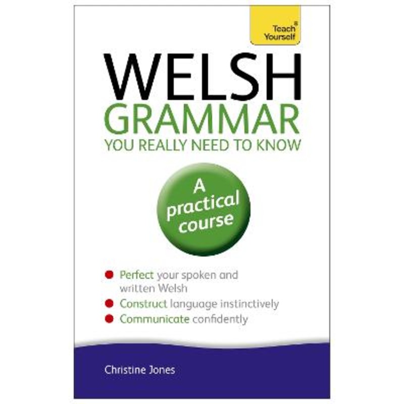 Welsh Grammar You Really Need to Know: Teach Yourself
