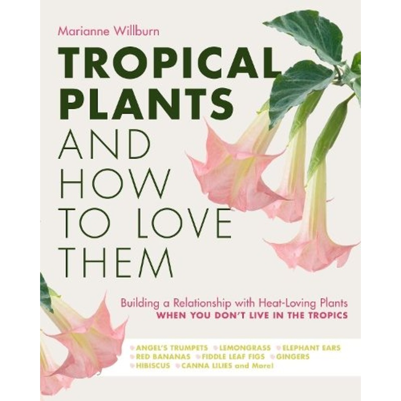 Tropical Plants and How to Love Them: Building a Relationship with Heat-Loving Plants