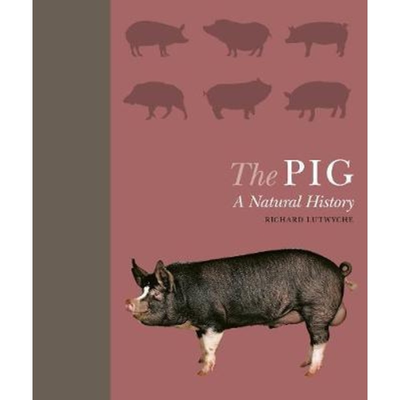 The Pig A Natural History