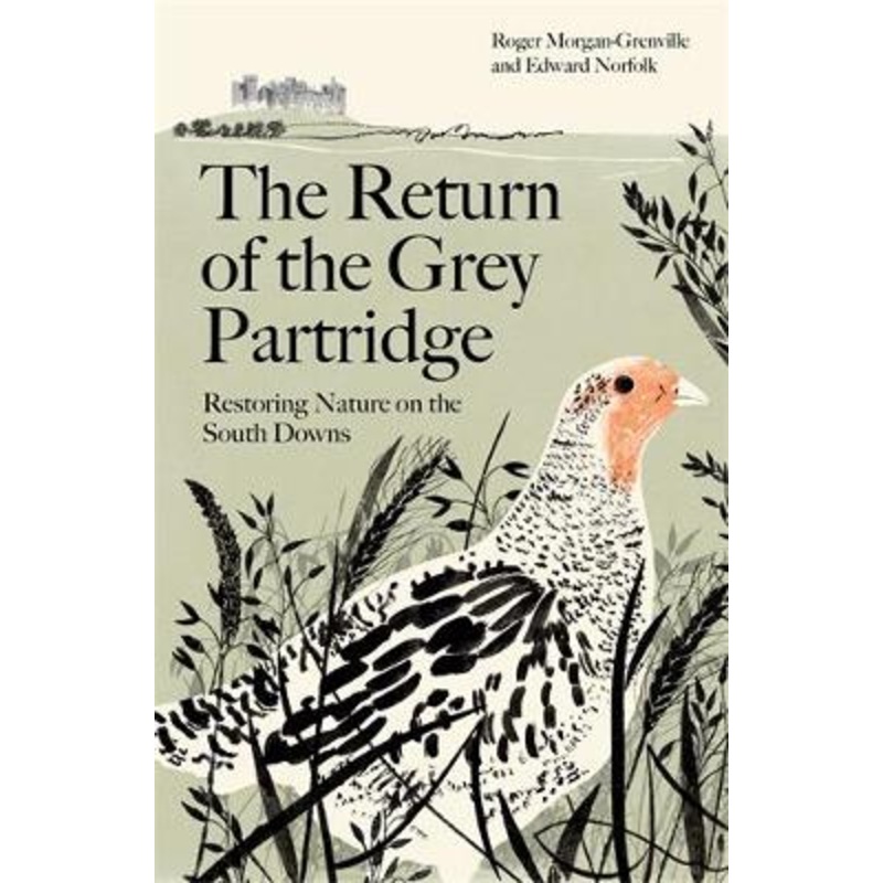 The Return of the Grey Partridge: Restoring Nature on the South Downs