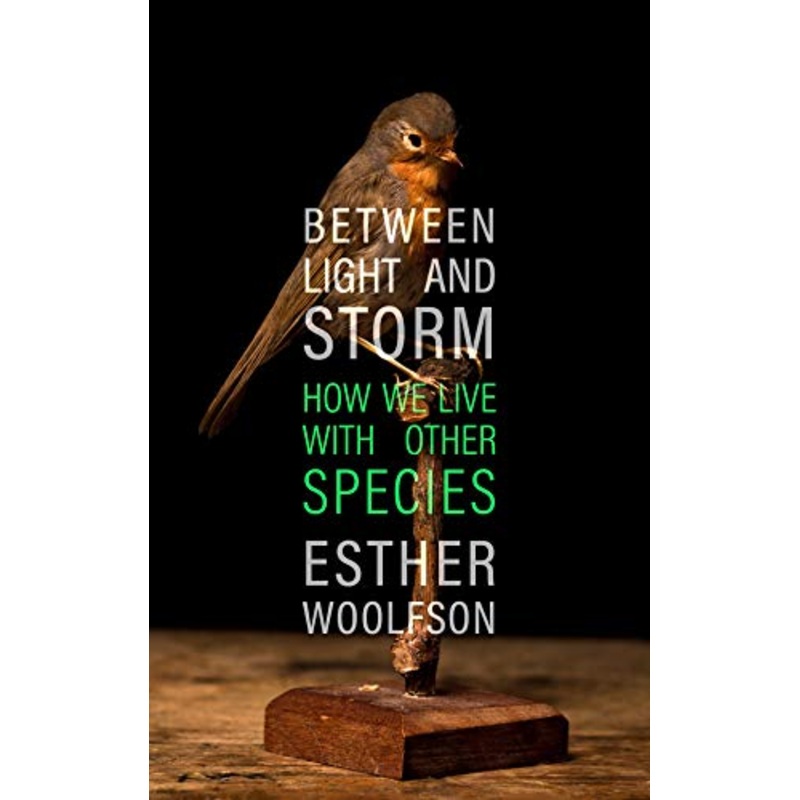 Between Light and Storm: How We Live With Other Species