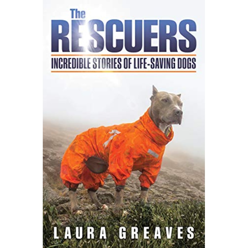 The Rescuers