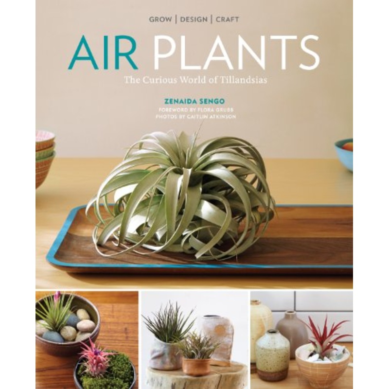 Air Plants: The Curious World of Tillandsias