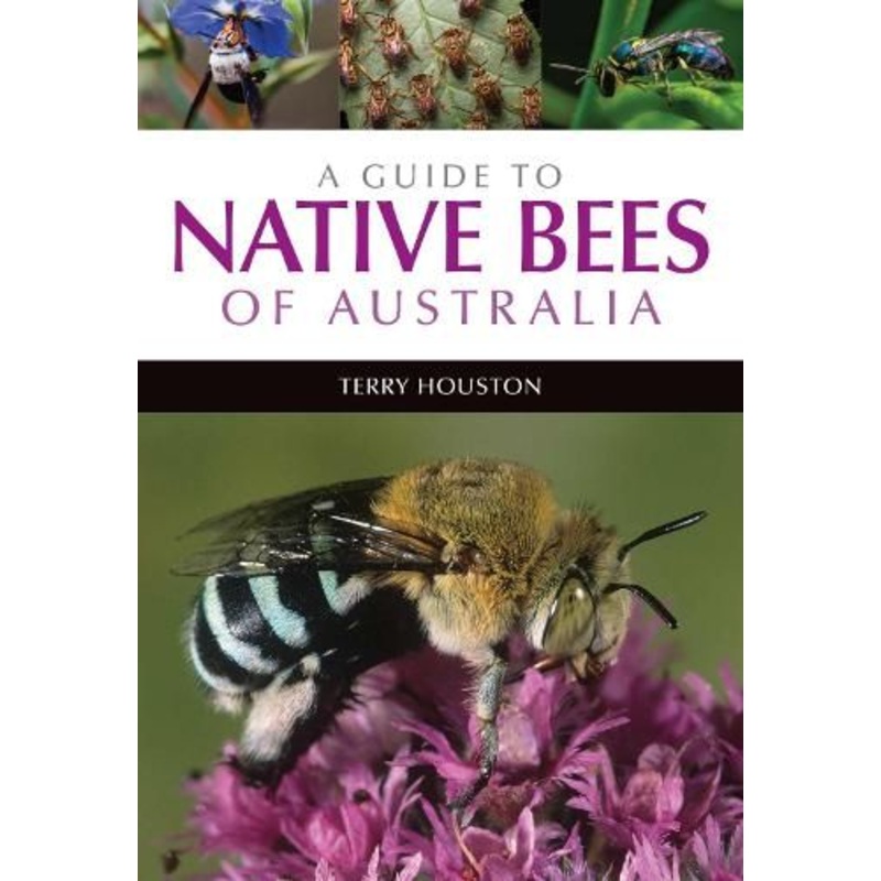 A Guide to Native Bees of Australia