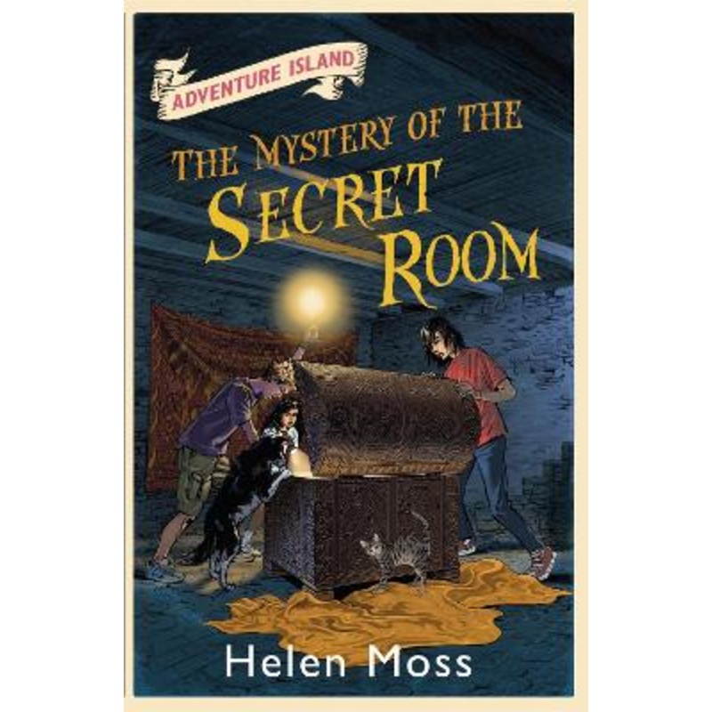 Adventure Island: The Mystery of the Secret Room: Book 13