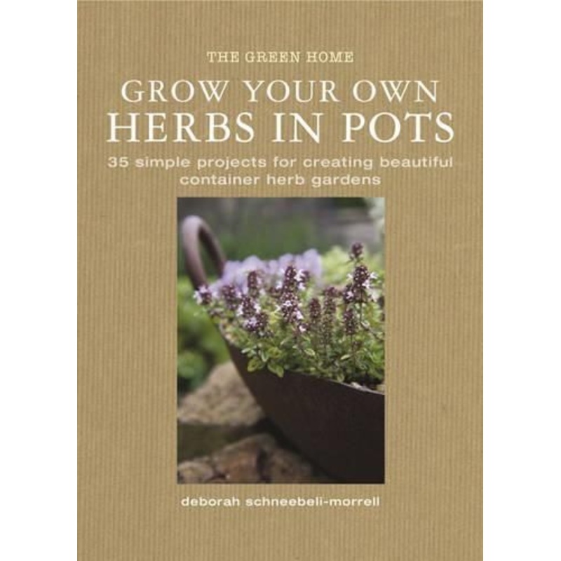 Grow Your Own Herbis in Pots