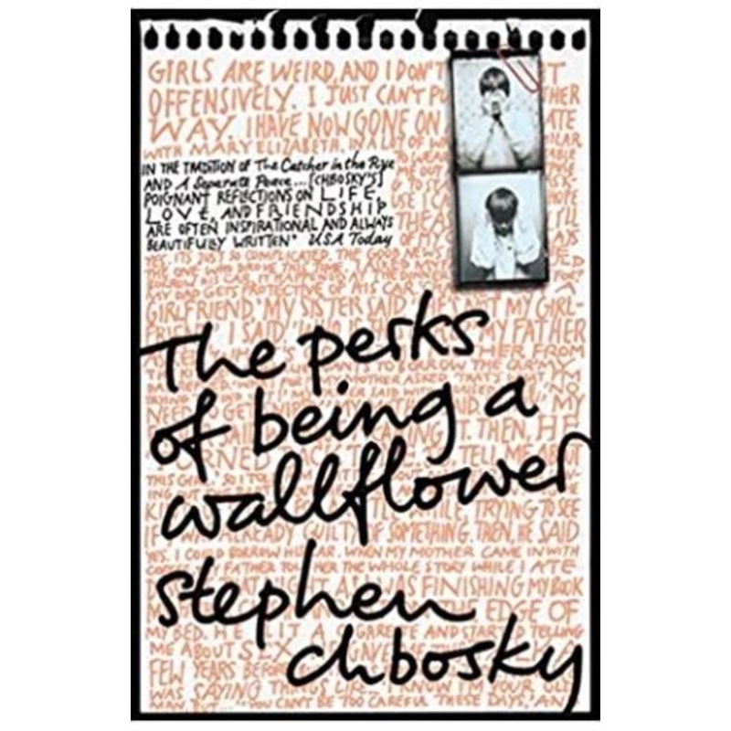 The Perks of Being a Wallflower: the most moving coming-of-age classic