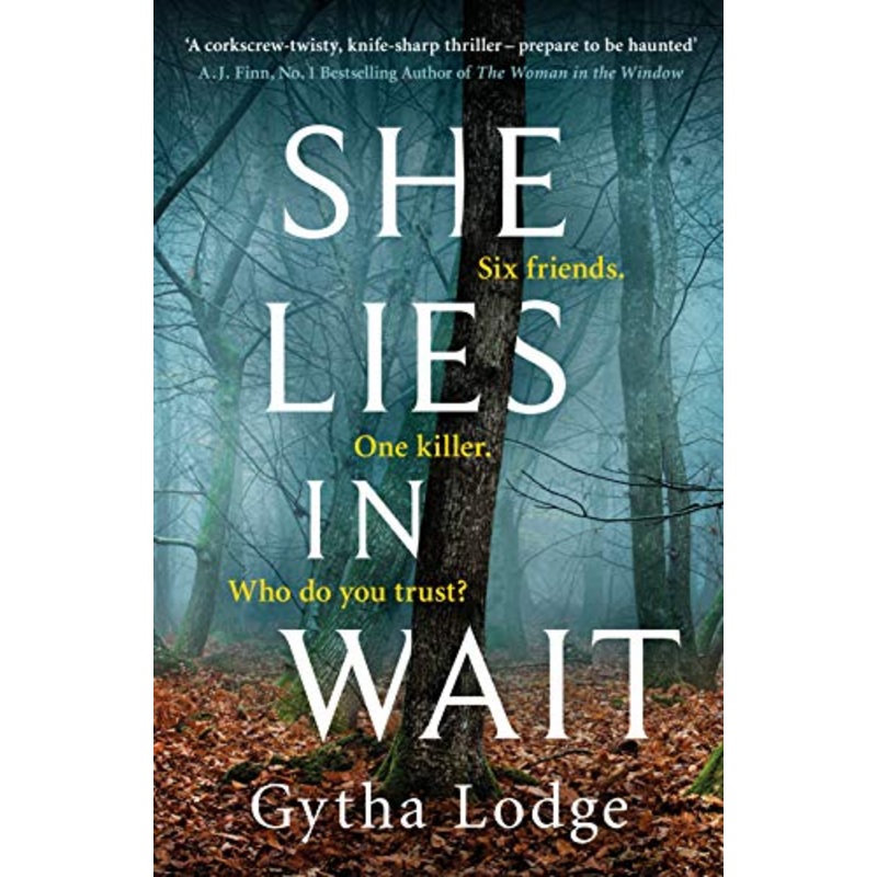 She Lies in Wait: The gripping Sunday Times bestselling Richard & Judy thriller pick