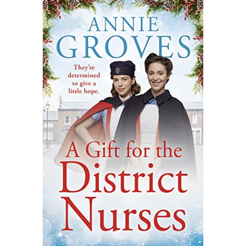 A Gift for the District Nurses (The District Nurses, Book 4)