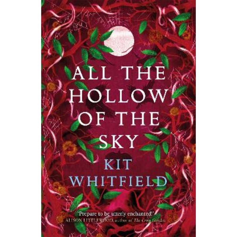 All the Hollow of the Sky: An enthralling novel of fae, folklore and