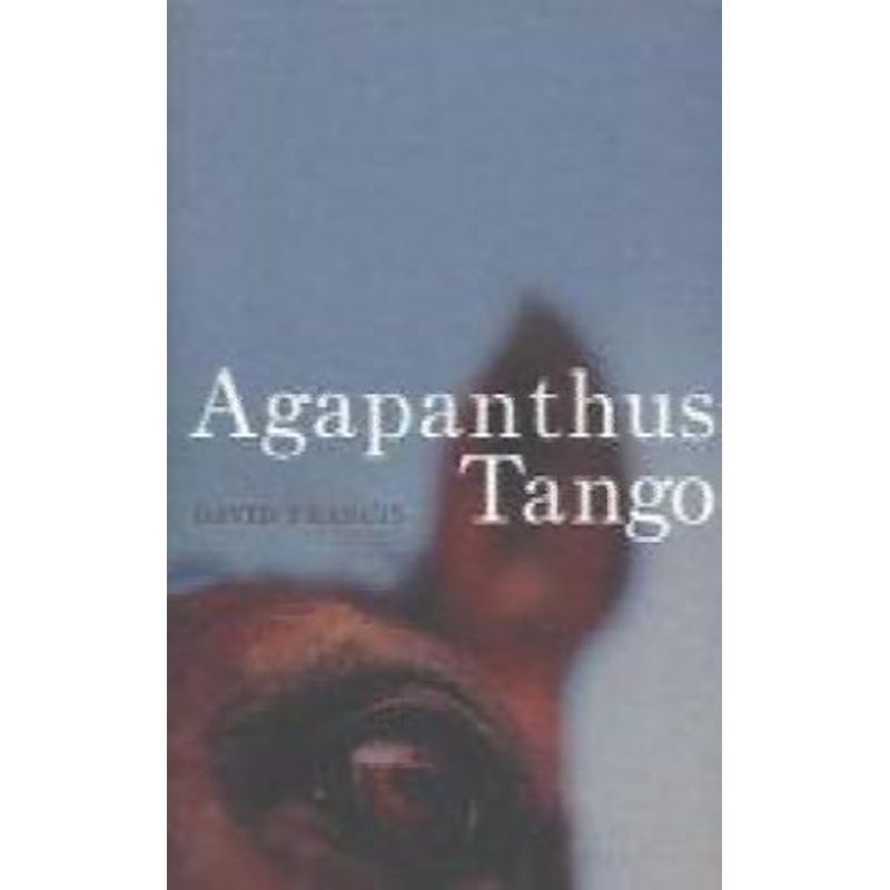 Agapanthus Tango